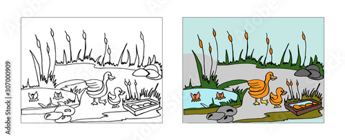 Ducks behind pond coloring book design with monochrome and colored versions. Freehand sketch for adult anti stress coloring book page with doodle elements. Vector Illustrations for kids book.