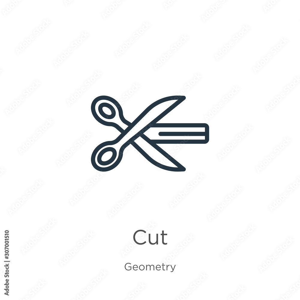 Cut icon. Thin linear cut outline icon isolated on white background from geometry collection. Line vector cut sign, symbol for web and mobile