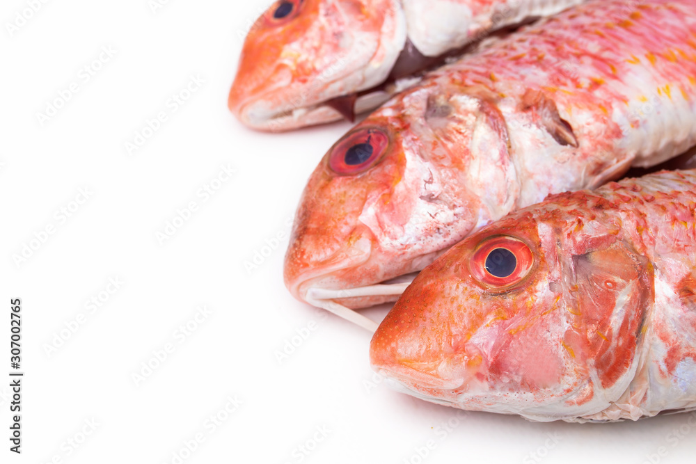 natural raw fish isolated on white background, salmon or mullets natural raw fish isolated on white background, salmon or mullets