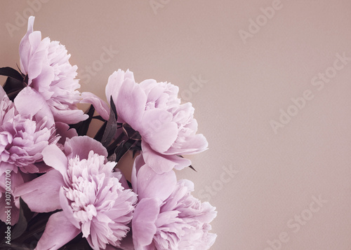 Fotografie, Obraz Close-up bouquet of pink peonies in pastel colors, top view in flat lay style