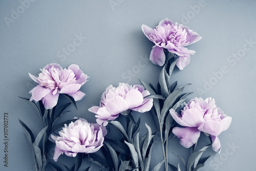 Fototapeta Close-up bouquet of pink peonies in pastel colors, top view in flat lay style