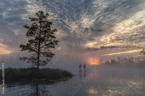 Sunrise at foggy swamp with small dead trees covered in early morning with people on sup boards © juriskraulis