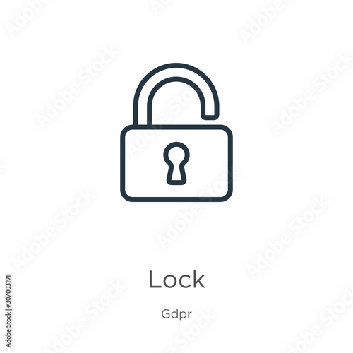 Lock icon. Thin linear lock outline icon isolated on white background from gdpr collection. Line vector lock sign, symbol for web and mobile