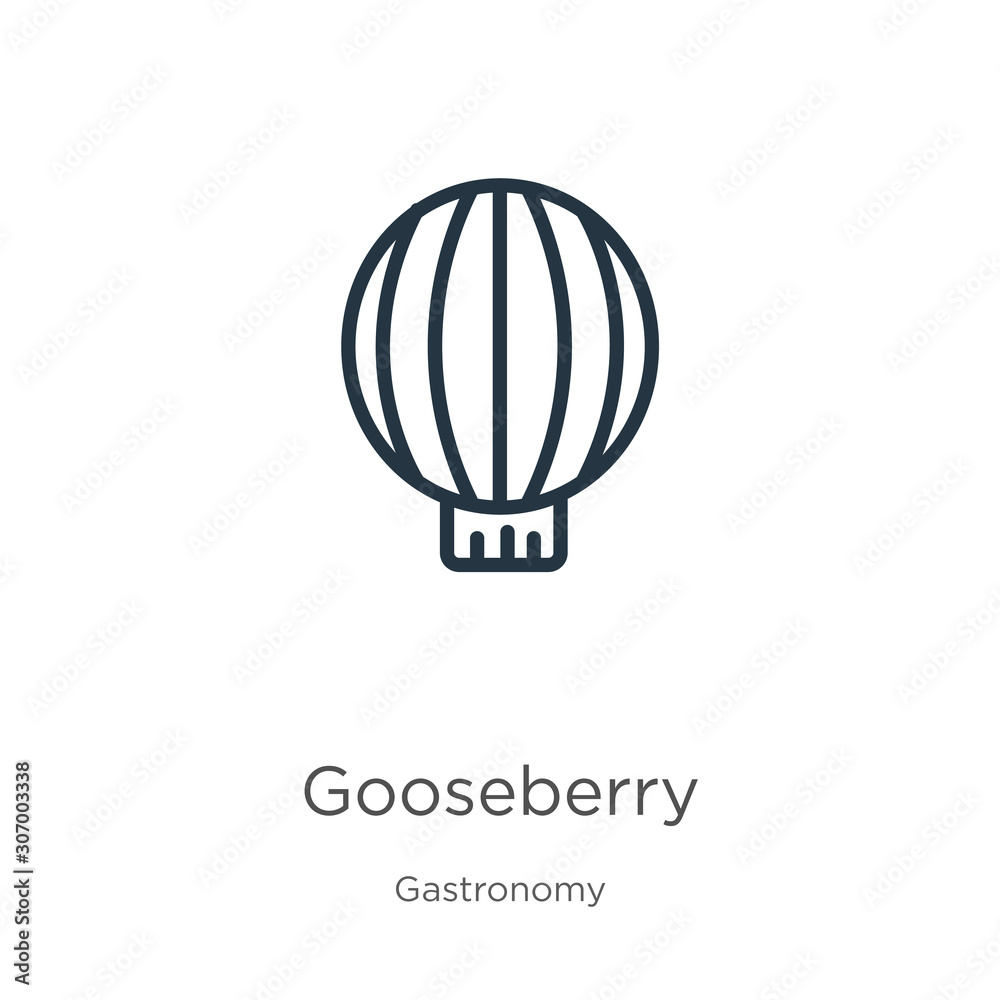 Gooseberry icon. Thin linear gooseberry outline icon isolated on white background from gastronomy collection. Line vector gooseberry sign, symbol for web and mobile