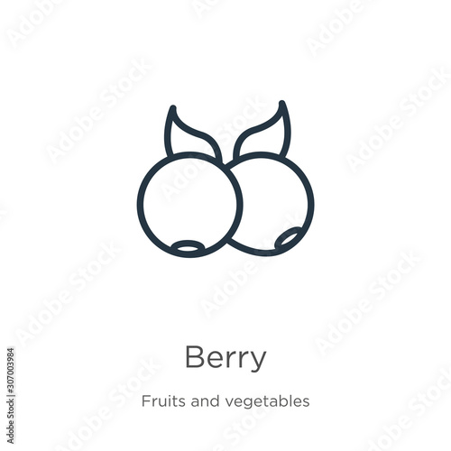 Blueberry icon. Thin linear blueberry outline icon isolated on white background from fruits collection. Line vector blueberry sign, symbol for web and mobile
