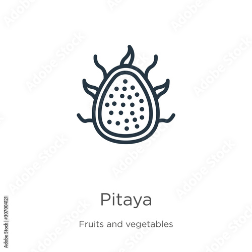 Pitaya icon. Thin linear pitaya outline icon isolated on white background from fruits collection. Line vector pitaya sign, symbol for web and mobile