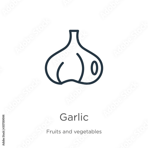 Garlic icon. Thin linear garlic outline icon isolated on white background from fruits collection. Line vector garlic sign, symbol for web and mobile
