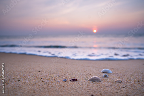 Coquillage au coucher du soleil