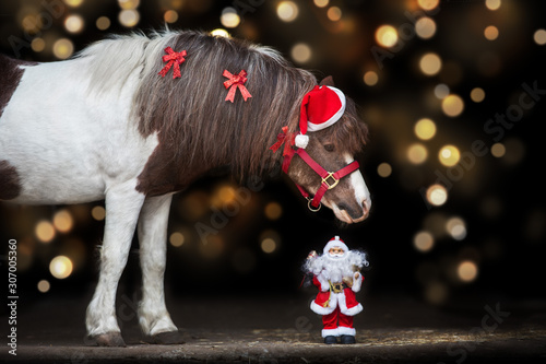 Pony portrait in santa red hat against christmas lights
