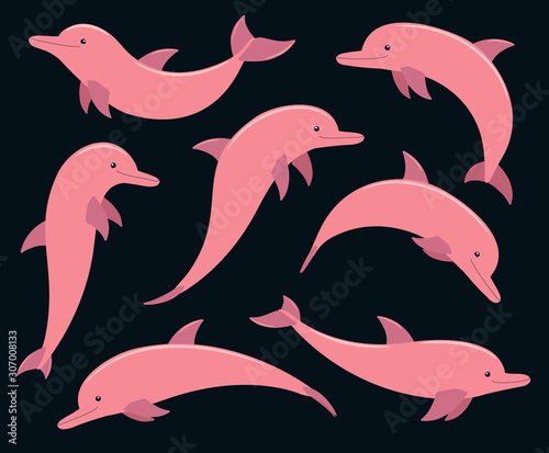 pink dolphins on a black background. vector illustration.