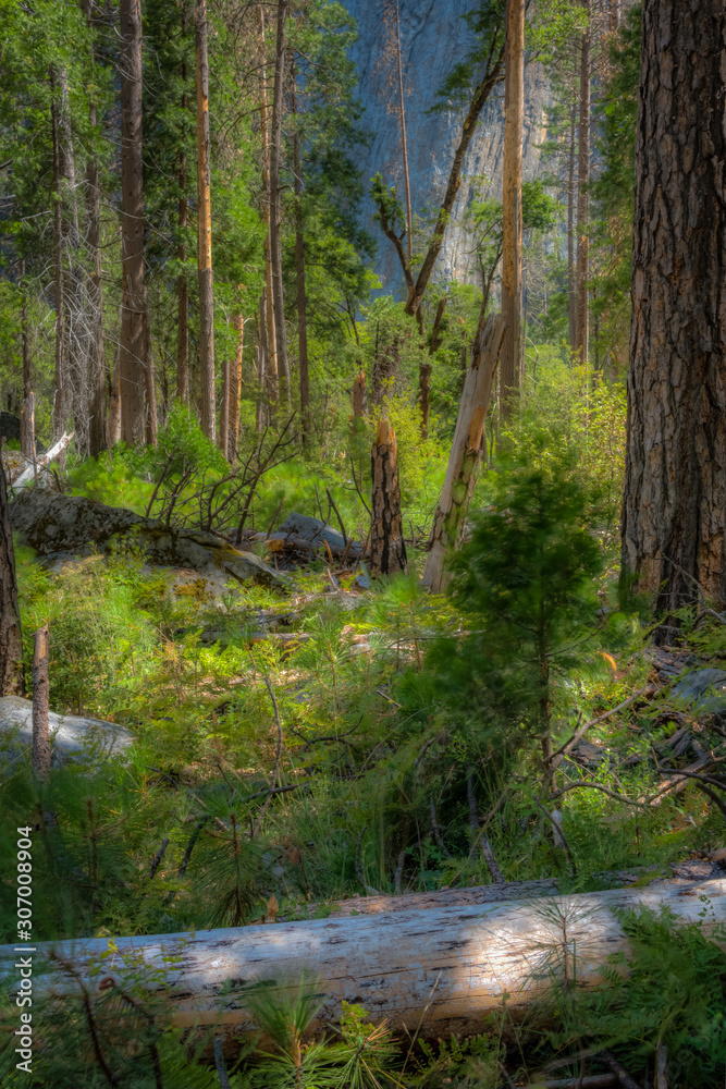 Beautiful Eastern Sierra’s from June Lake to Lake Tahoe Beautiful Eastern Sierra’s from June Lake to Lake Tahoe