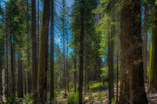 Beautiful Eastern Sierra’s from June Lake to Lake Tahoe © jearlwebb
