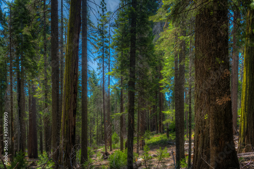 Beautiful Eastern Sierra   s from June Lake to Lake Tahoe