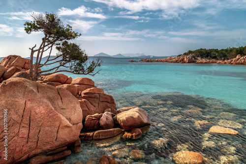 Fototapeta Naklejka Na Ścianę i Meble -  Capticcioli beach inSardinia, Italy. Rocks and mediterranean pine trees on the shore, sea with azure turquoise crystal clear water. Holidays, beaches in Sardinia.