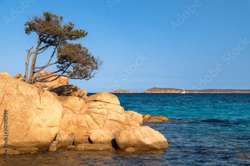 Fototapeta Naklejka Na Ścianę i Meble -  Capticcioli beach inSardinia, Italy. Rocks and mediterranean pine trees on the shore, sea with azure turquoise crystal clear water. Holidays, the best beaches in Sardinia.