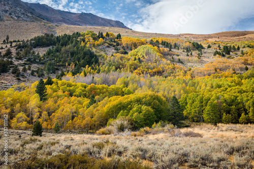 Beautiful Eastern Sierra’s from June Lake to Lake Tahoe