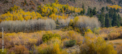 Beautiful Eastern Sierra’s from June Lake to Lake Tahoe