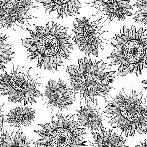 Floral seamless pattern. Vector line art illustration with sunflowers flowers. Hand drawn pattern isolated on white background. 