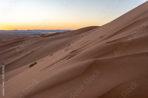 Sand dunes of Erg Chebbi in the Sahara Desert  Morocco