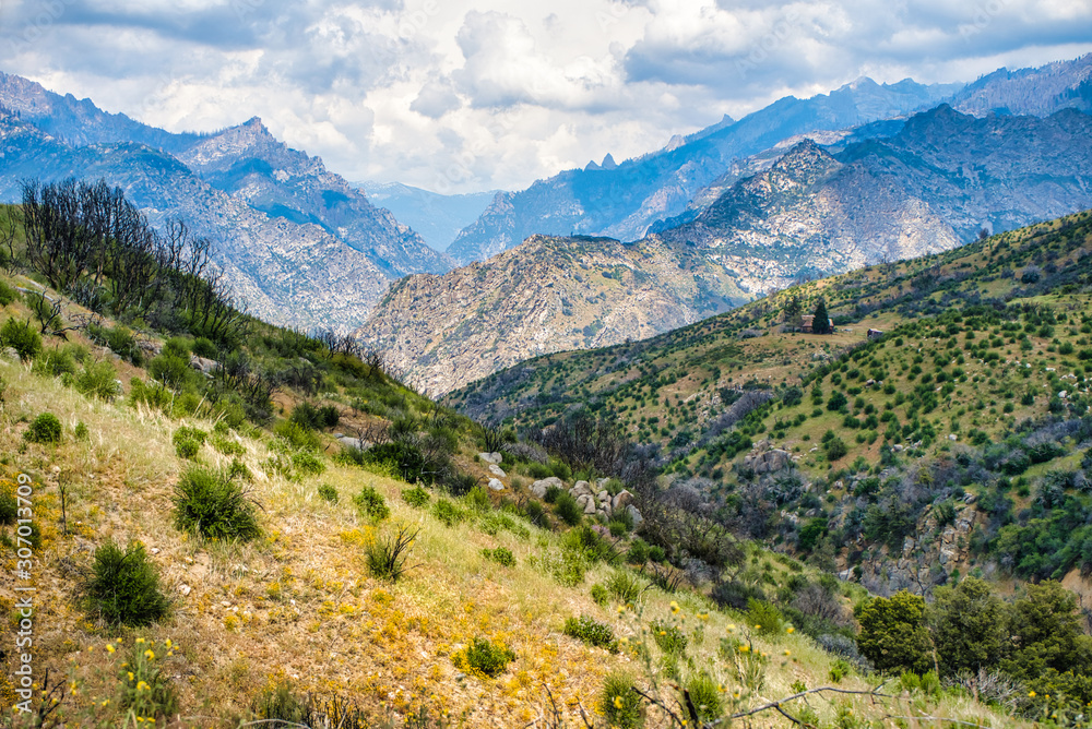 Scenic hills in Sequoia National Forest,California,USA