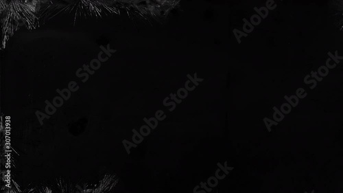Ice Flowers Frost timelapse on black background