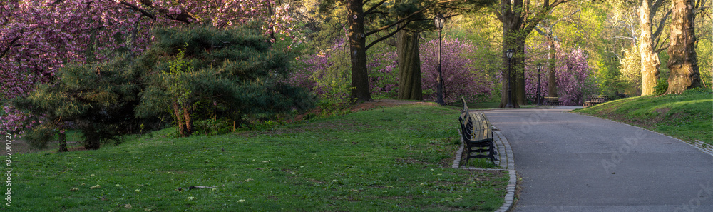 Central Park in spring