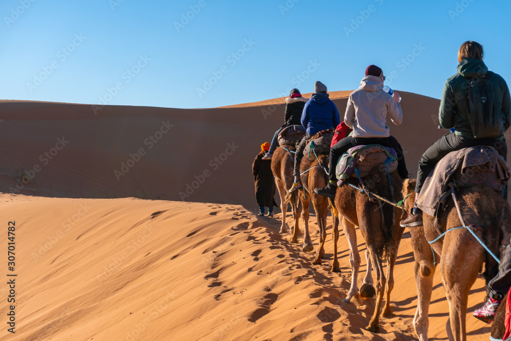 Participating in Camel caravan tour in Sahara desert, Morocco
