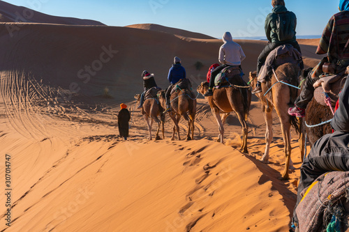 Participating in Camel caravan tour in Sahara desert  Morocco