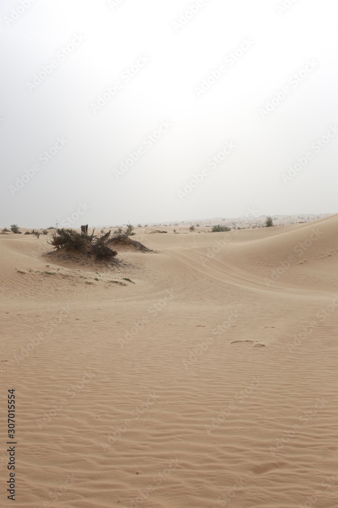 Obraz premium Dubai Desert