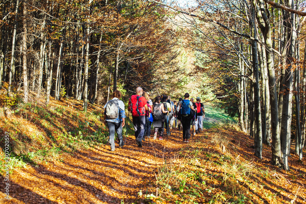 Fototapeta premium Hiking Group Of People Walking In Nature