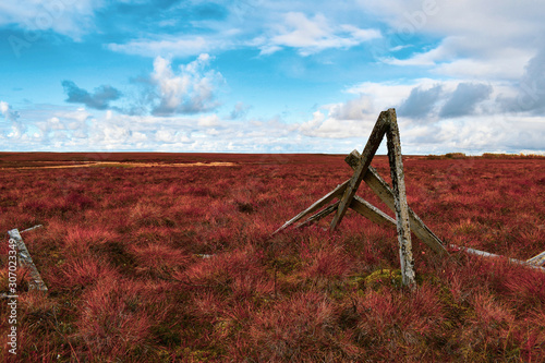 The Tundra, Yukon Delta photo