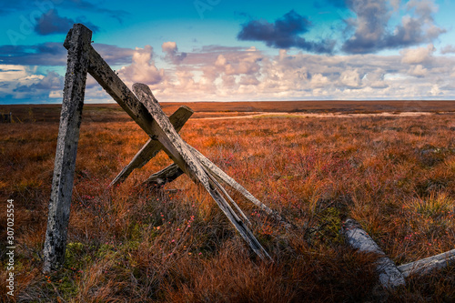 Cuadro en lienzo The Tundra, Yukon Delta
