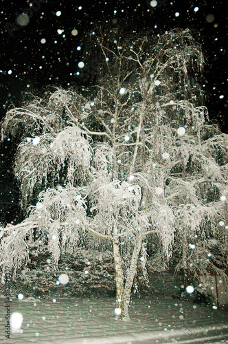 First snowfall captured during a night-time walk on my street