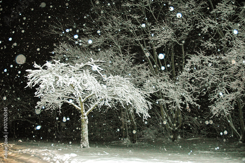 First snowfall captured during a night-time walk on my street
