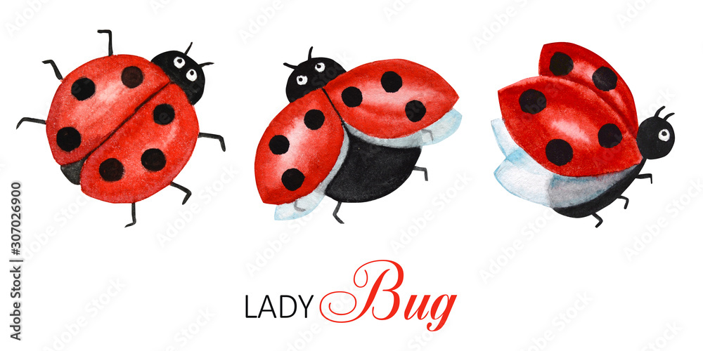 Ladybug Drawing Vector Images (over 6,000)