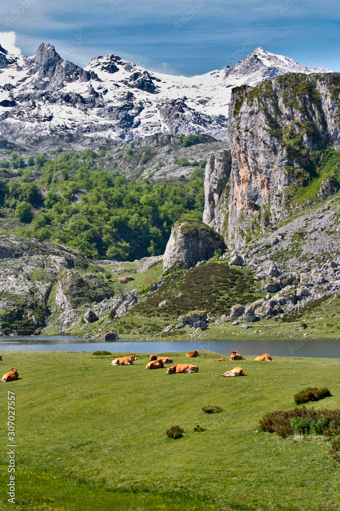 lagos covadonga