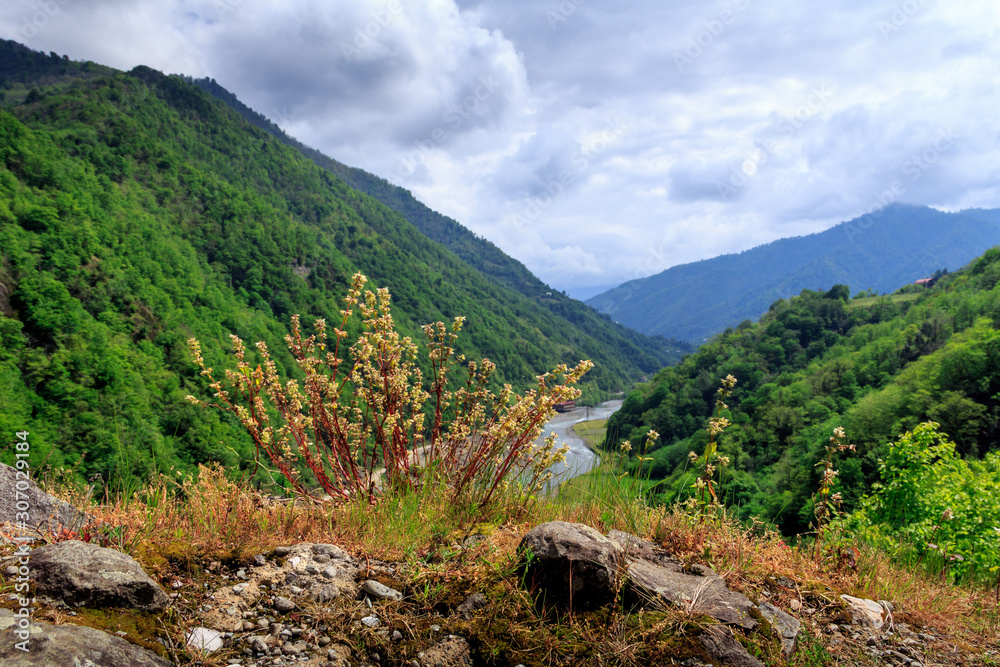 Mountains in Adjara. Machahela. River among mountains. Mountains in Adjara. Machahela. River among mountains.
