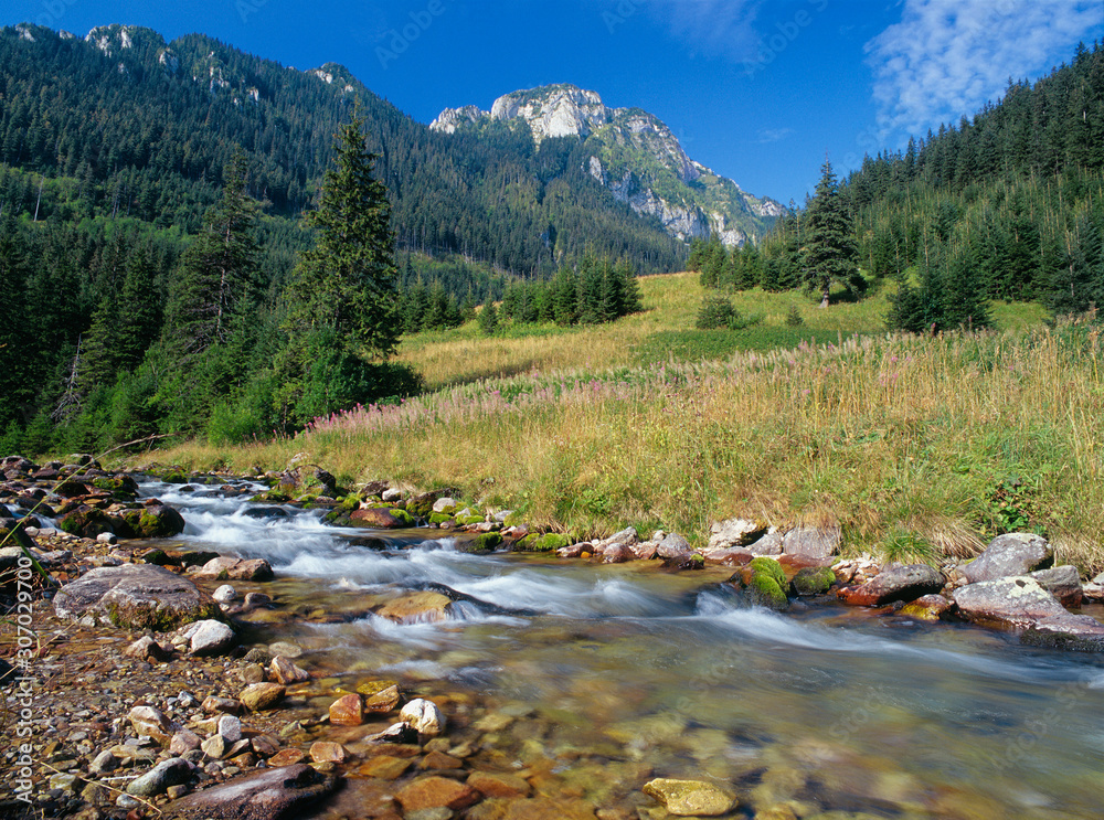 Koscieliska Valley, Tatry National Park, Poland