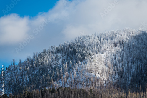 Beautiful winter landscape of trees on a mountaintop covered in snow and ice