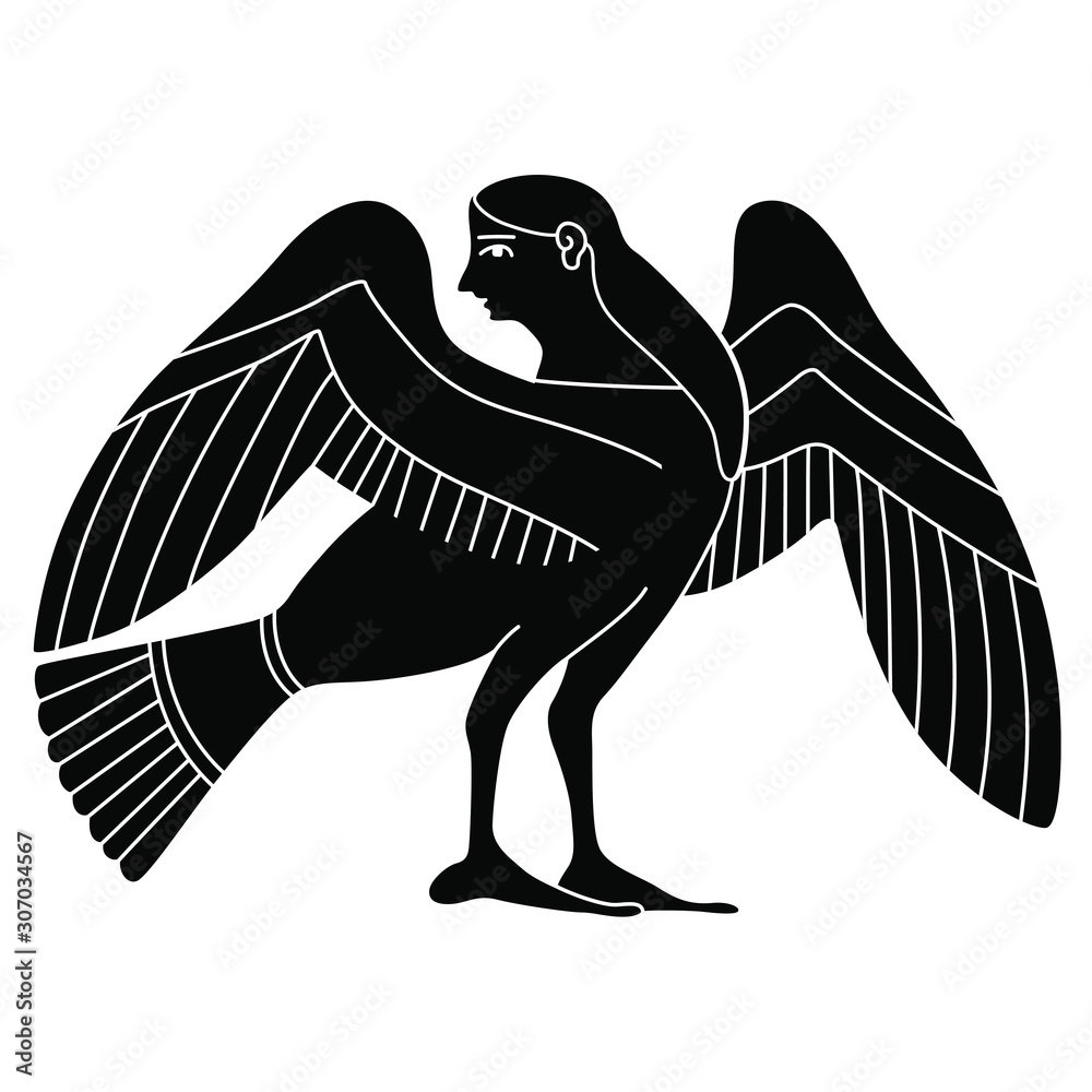 Isolated vector illustration Ancient Greek siren or harpy Fantastic