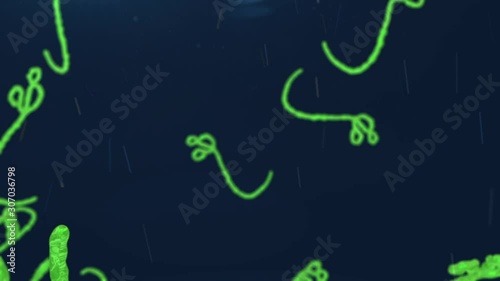 Ebola