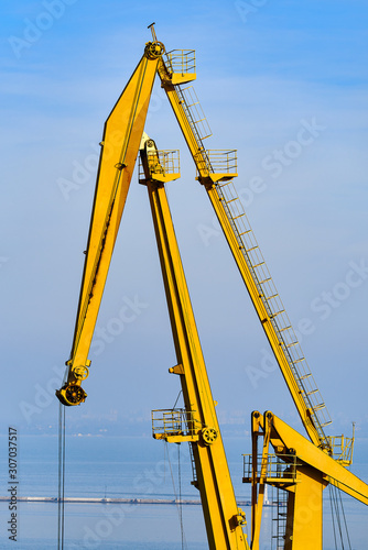 Wallpaper Mural Cargo port cranes. Foggy. Sea backplane. Torontodigital.ca