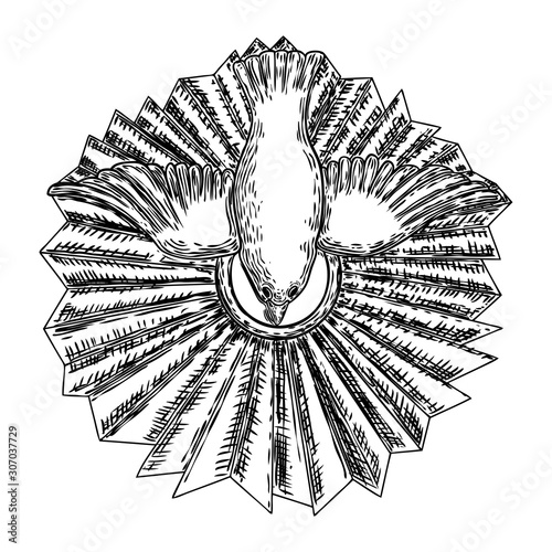 Holy spirit symbol in flying dove with sunburst. Vintage style stone carve. Design elements vintage engraving drawing. Pigeon or bird of peace.
