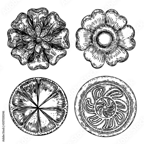 Set of vintage style floral circular design element. Flower rosette drawing for printing. Fashion pattern in black white for textile backgrounds. Vector.