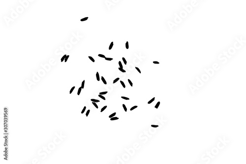 White rice in black on white background. Organic texture. Silhouette of rice flakes, spread on the flat surface or table. Top view. Vector.