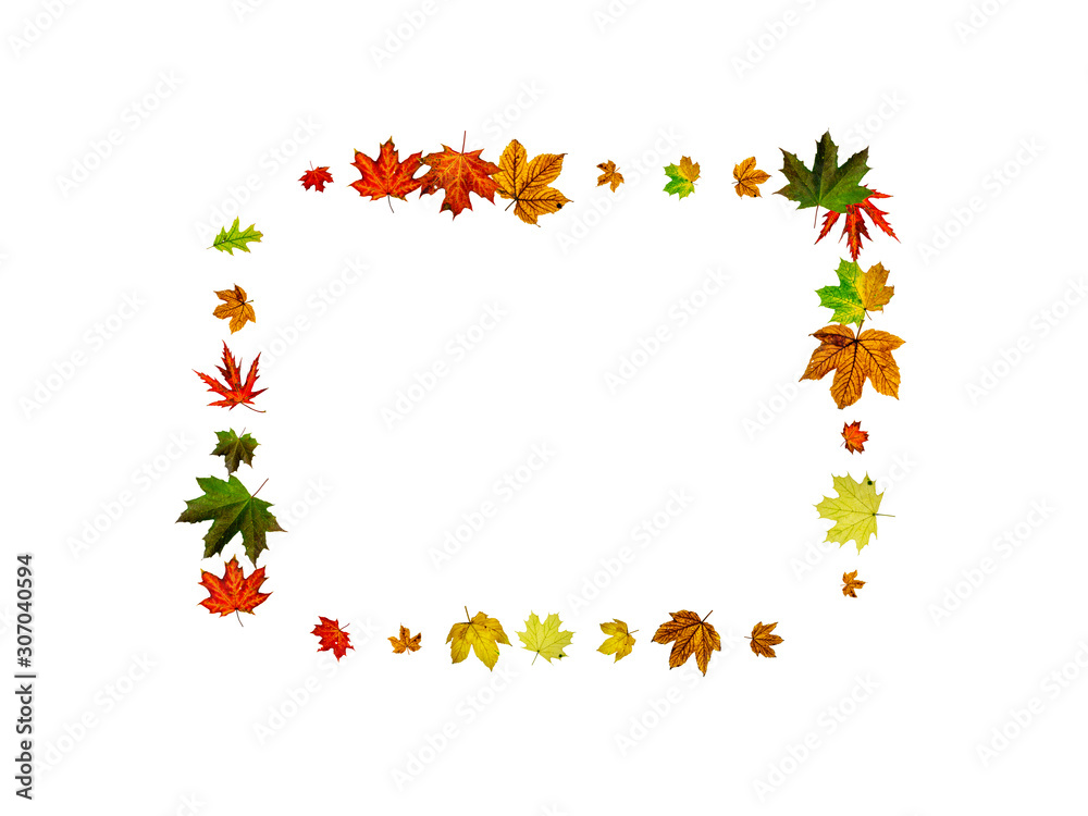 Fototapeta premium Autumn background. Falling October leaves isolated on white. Season concept
