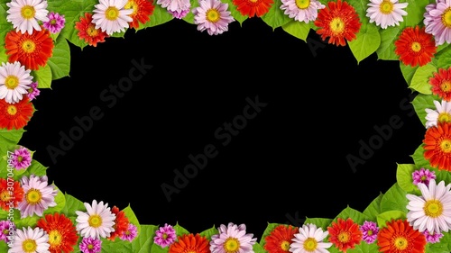 Colorful flowers with green leaves frame