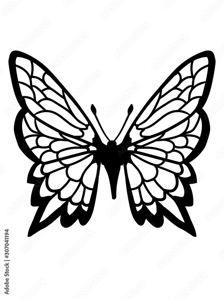 Schöner Schmetterling Design Schöner Schmetterling Design