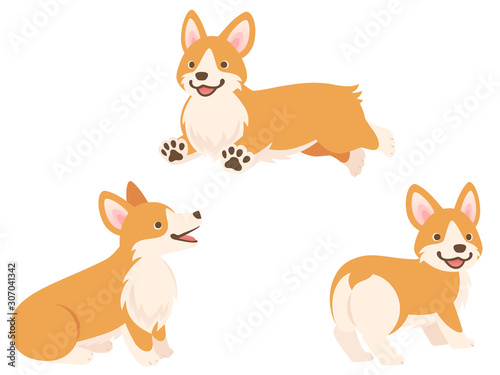 コーギーのイラストセット 走る おすわりして見上げる お尻 Vector De Stock Adobe Stock コーギーのイラストセット 走る おすわりして見上げる お尻 Vector De Stock Adobe Stock