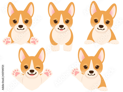 コーギーの子犬のイラストセット（バストアップ5ポーズ）